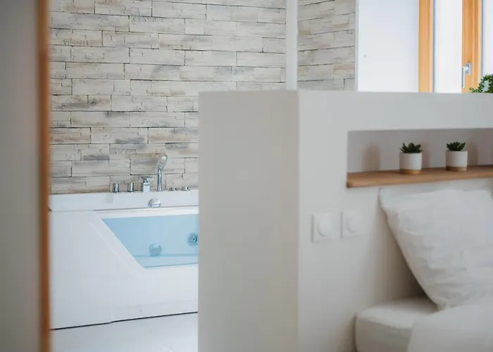 Magnifique Loft Balneo Hammam #3